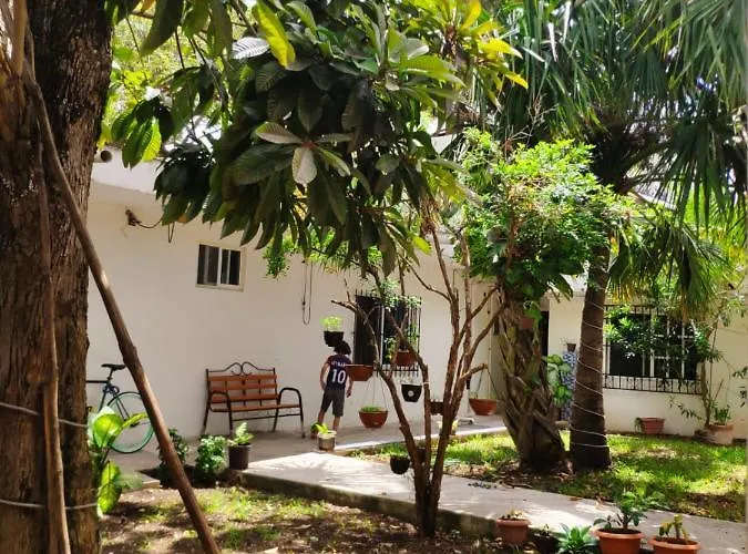Bea Rooms&studios * Cozumel