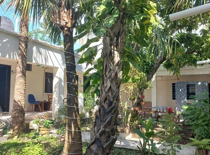Hotel Bea Rooms&studios Cozumel