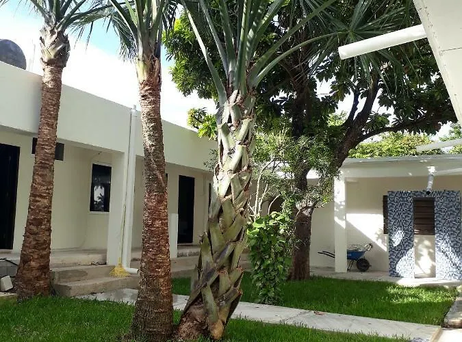 Hotel Bea Rooms&studios Cozumel