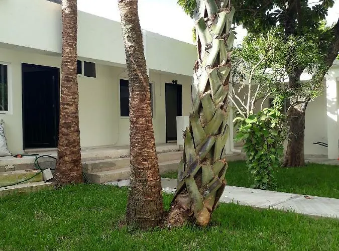 Hotel Bea Rooms&studios Cozumel